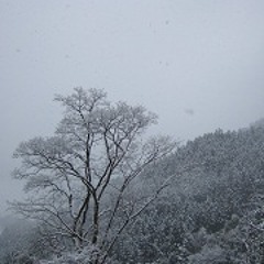 In Mercury and Sulphur