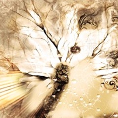Transcend