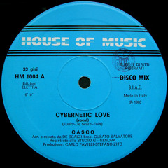 Cybernetic Love by Casco