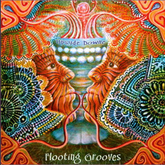 Flooting Grooves - Spacedrift (Peak Records 2007)