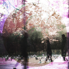 Bicycle theme