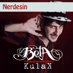 Beta - Nerdesin