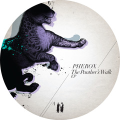 Pherox feat. Lee Curtiss "Black Copy" Dumb Unit 061