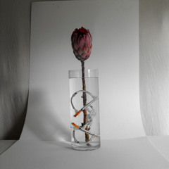 THE MASTERBAKERS - UGLY