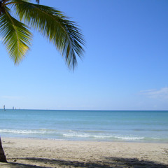 Mc Order - No me dejan fumar