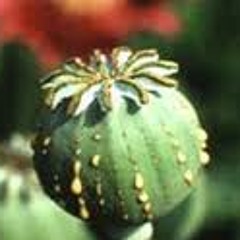 Into the void_opium mix