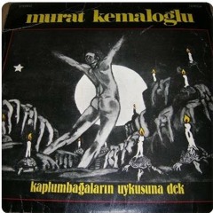 Murat Kemaloğlu - Kuğu