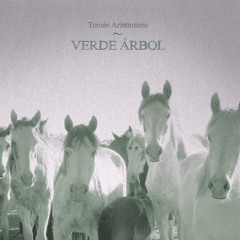 Hermanos - Tomás Aristimuño