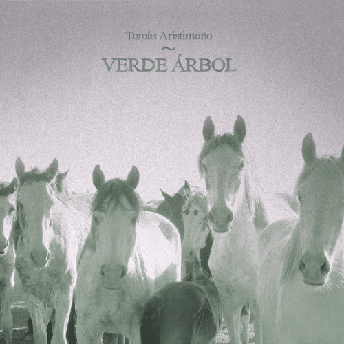 Hermanos - Tomás Aristimuño