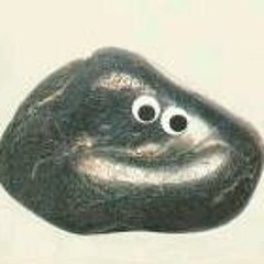 Pet rock tote or designer turd bag?  at Jack spade, 403 bleeker st, new york, ny