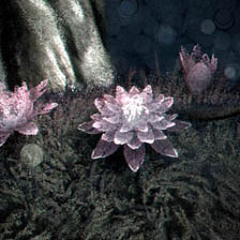 Sonic Entropy - Will We Be Ready