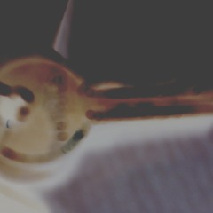 Mattan - I am Toilet Paper (Only good shit Records)