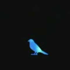 Rajat Sharda-Blue Bird(OP cover)