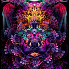 Made in Psyland - DJ SET (2011)