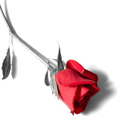 Nequitia with Aramelia Rose Gothique