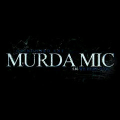 MURDA MIC FEAT YA BOY E AND DAISY - REAL NIGGAS