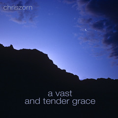 A Vast and Tender Grace
