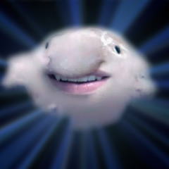 Weather