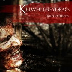 Already Have Enough Friends