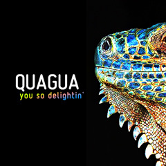 QUAGUA - you so delightin' (kian84 mix)