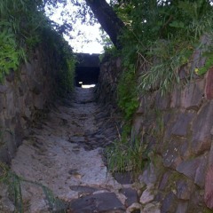 The purpose of this record