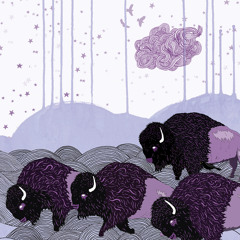 *shels - Plains of the Purple Buffalo - part 2