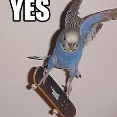 Headloc- keeper (demo)