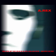 AREX "By My Friends",  Lyrics: Stine Rex Kneiding/AREX (2000)