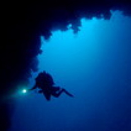 Stream Fatal Diving Accident Caught On Tape Yuri Lipski By Libellula Listen Online For Free On Soundcloud