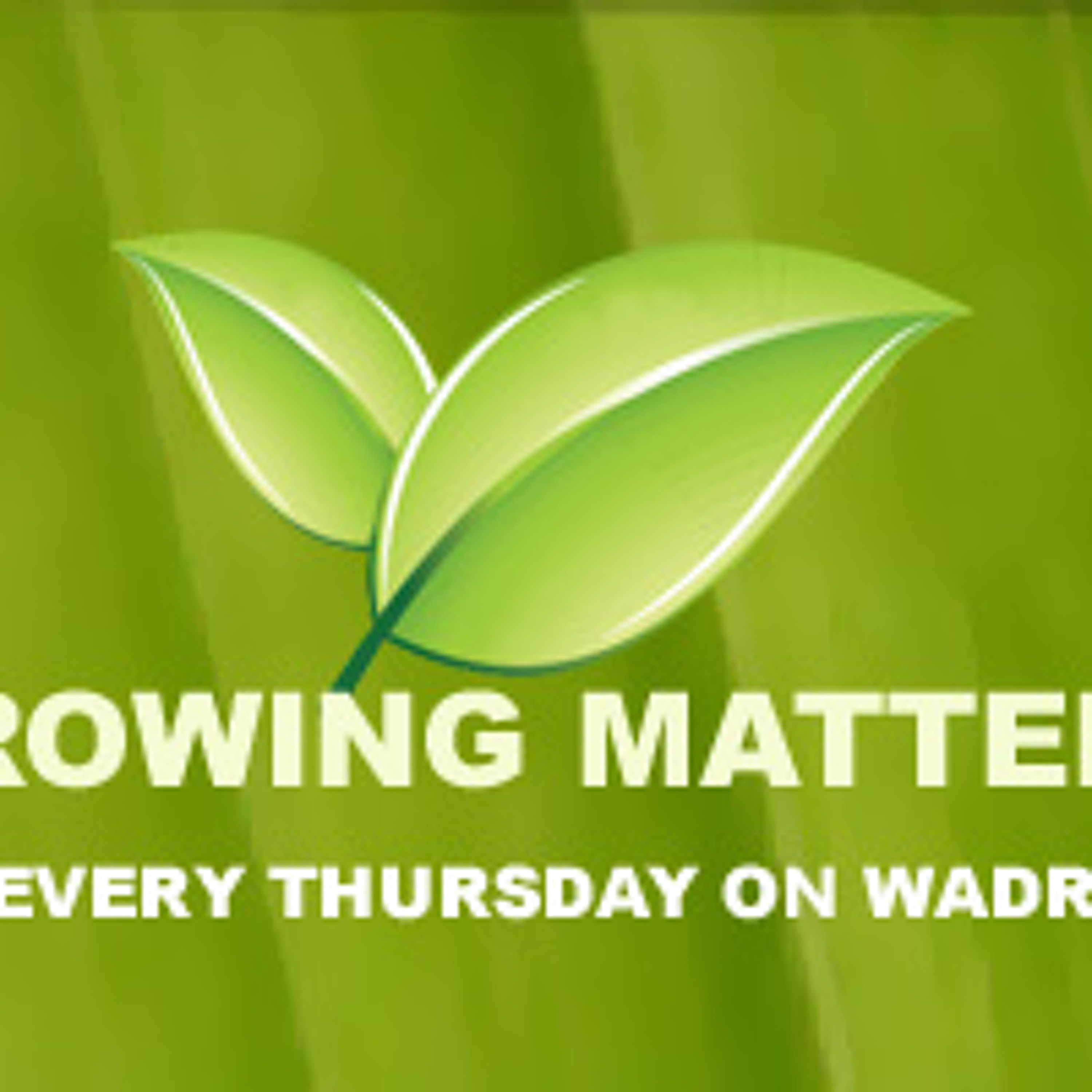 Growing Matters 06 02 11 Africa Adaptation Programme Against Climate Change episode artwork