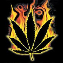 Burning marijuana