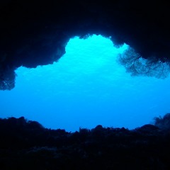 Stream Fatal Diving Accident Caught On Tape Yuri Lipski By Libellula Listen Online For Free On Soundcloud