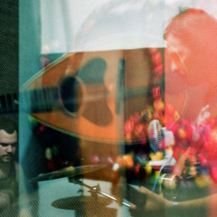 Apricots - Phantasma