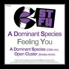 A Dominant species - Feeling you - OUT 25th JULY 2011.. Digital download only. comments welcomed! ;)