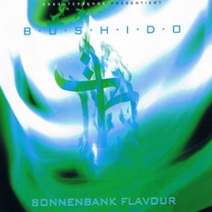 Bushido - Sonnenbank Flavour (sunrain remix)