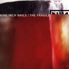 Just Like You Imagined (Nine Inch Nails Cover/300 Theme)