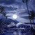 Artwork for Acoustic Alchemy - Original Guitar Instrumental