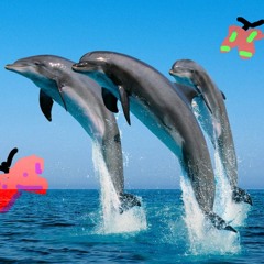 Butterflies n Dolphins- Kidd Lúcid feat.  Ruben Slikk & Lofty305 (produced by Lofty305)