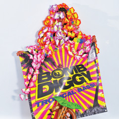 Bomb Diggy Crew - Alles Loesoe (Alles Los Agency Promo Mix)