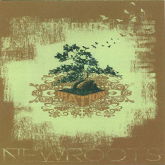 N.R.A.