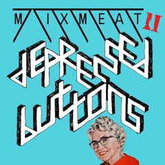 MIXMEAT II - for Mad Decent 5-22-11