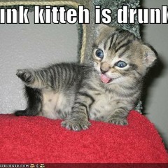 Kitty Drink De Wine
