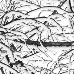 Overfloater (Soundgarden Cover)