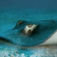 Dj BeeGood-Get's Energy