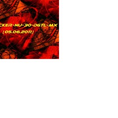 TECHNICKER-NU-30-DGTL-mx(05.06.2011)