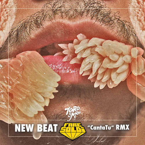 Toro Y Moi - New Beat (Fare Soldi "CantaTu" rmx)