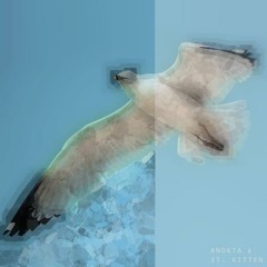 fly (feat. saint kitten)