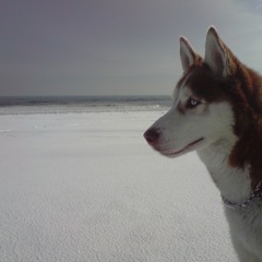 Ayla - Liebe (KuLaJ 2010 Remix)