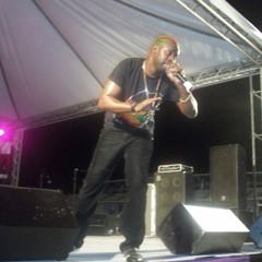 GREENZ 2011 - Lavaman - Jab Don't Care