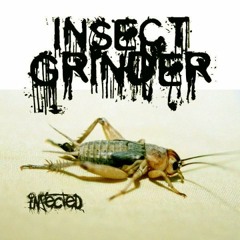 Insect Grinder - Moment Of Torment
